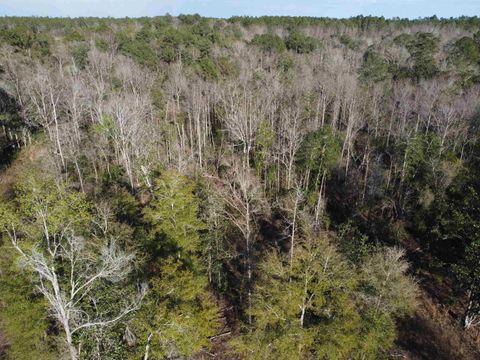 Tiny photo for xxx NE E SR 20, Hosford, FL 32334 (MLS # 396914)