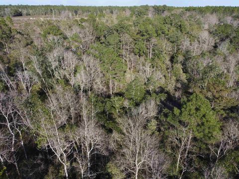 Tiny photo for xxx NE E SR 20, Hosford, FL 32334 (MLS # 396914)