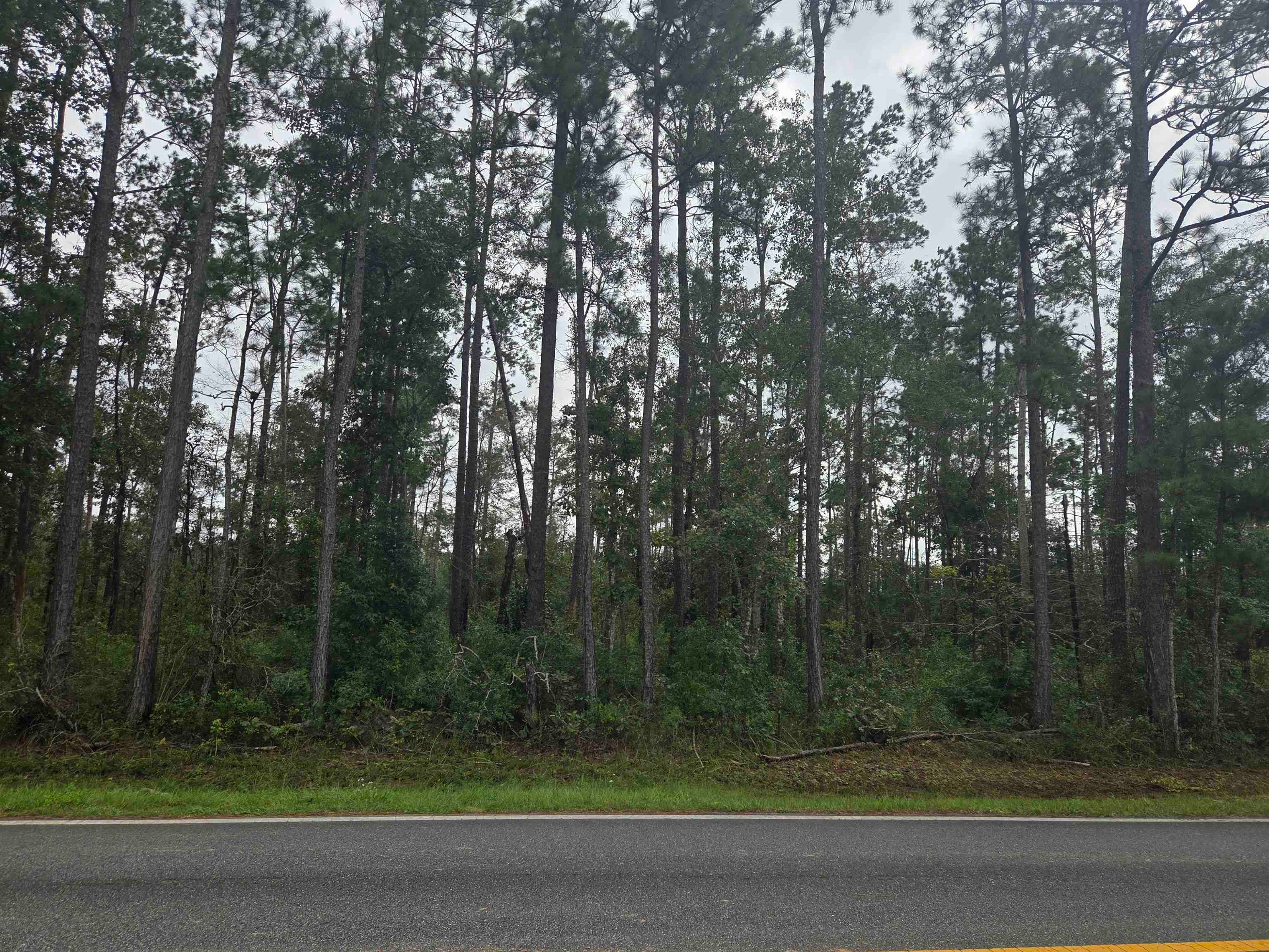 XXX SW CR 333 east