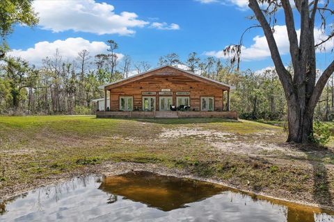 Tiny photo for 0 NW Roys Road, Steinhatchee, FL 32359 (MLS # 397885)