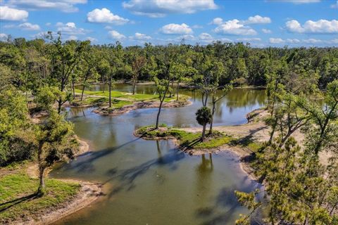 0 NW Roys Road Steinhatchee FL 32359