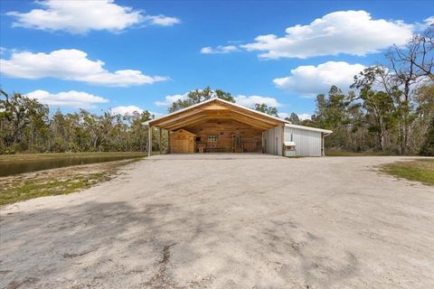 Tiny photo for 0 NW Roys Road, Steinhatchee, FL 32359 (MLS # 397885)