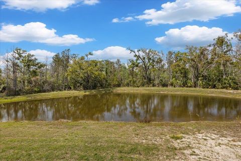 Tiny photo for 0 NW Roys Road, Steinhatchee, FL 32359 (MLS # 397885)