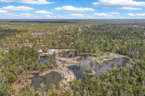 Tiny photo for 0 NW Roys Road, Steinhatchee, FL 32359 (MLS # 397885)