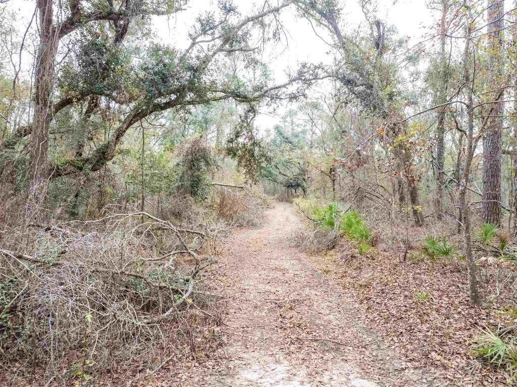 Photo of xxx NW 22nd Terrace, Jasper, FL 32052 (MLS # 393901)