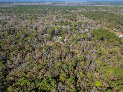 Tiny photo for 88 Canopy Lane, Crawfordville, FL 32327 (MLS # 396978)