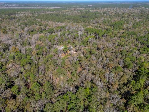 Tiny photo for 88 Canopy Lane, Crawfordville, FL 32327 (MLS # 396978)
