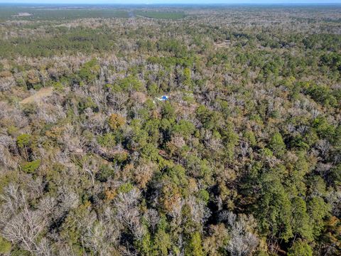Tiny photo for 88 Canopy Lane, Crawfordville, FL 32327 (MLS # 396978)