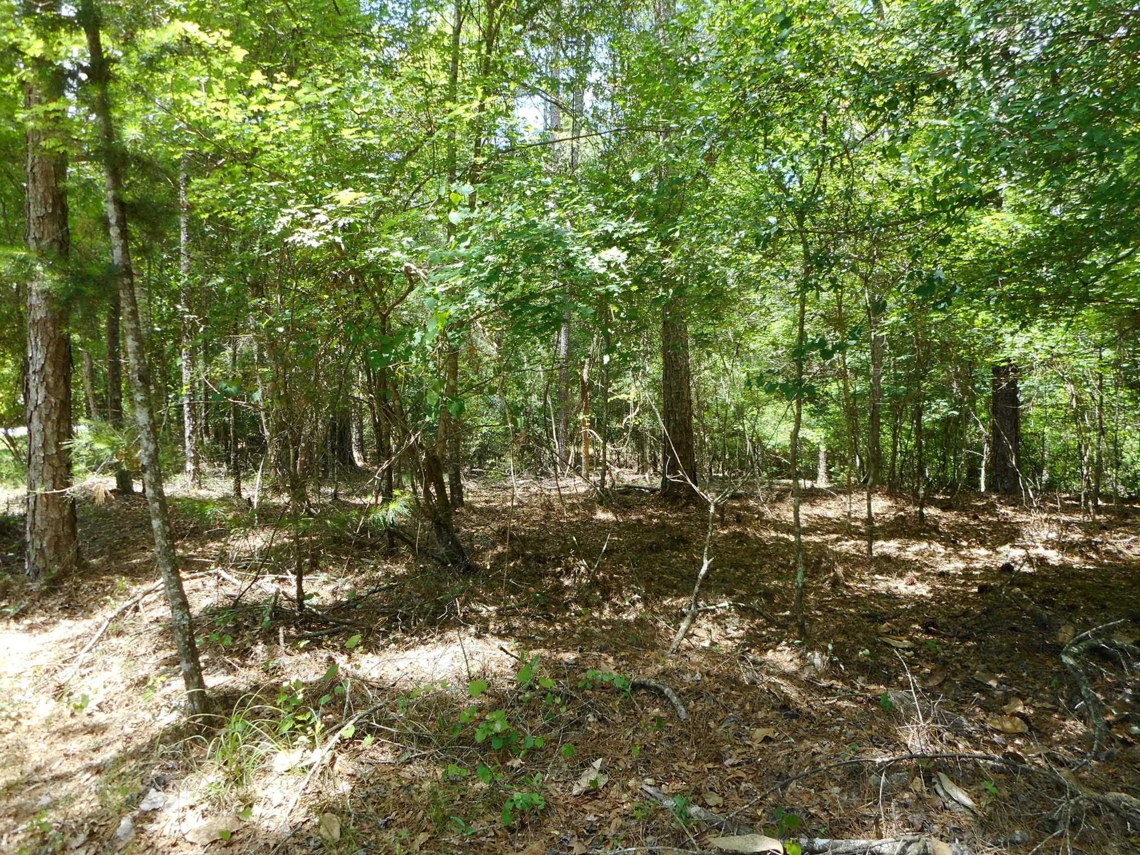 3820 TALLAVANA Trail