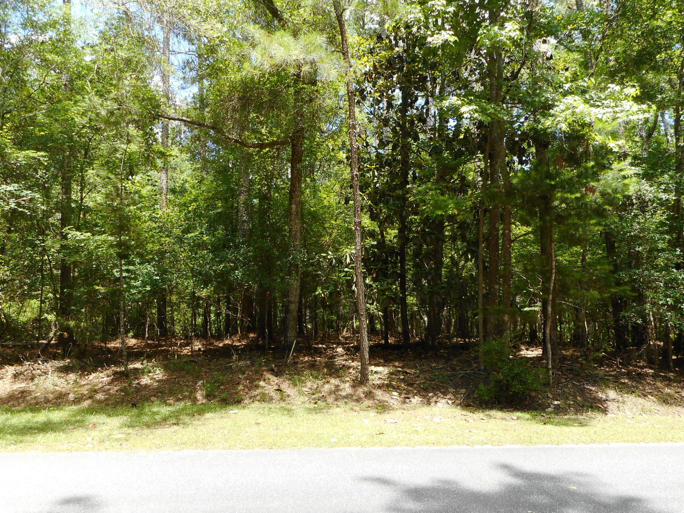 3820 TALLAVANA Trail