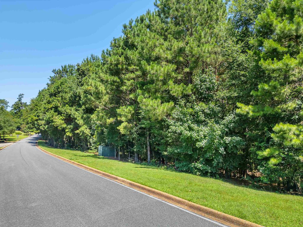 Photo of 0 Shoal Creek Drive, Tallahassee, FL 32312 (MLS # 388727)
