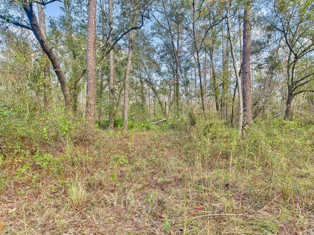 Photo of 465 NE River Ridge Way, Lee, FL 32059 (MLS # 394009)