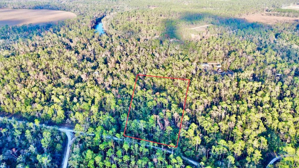 Photo of 465 NE River Ridge Way, Lee, FL 32059 (MLS # 394009)