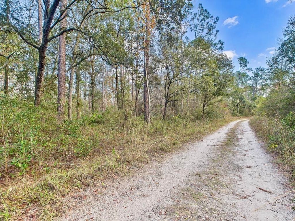 Photo of 465 NE River Ridge Way, Lee, FL 32059 (MLS # 394009)