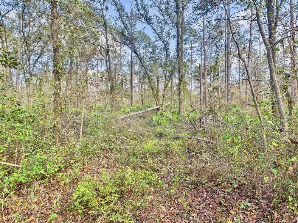 465 NE River Ridge Way