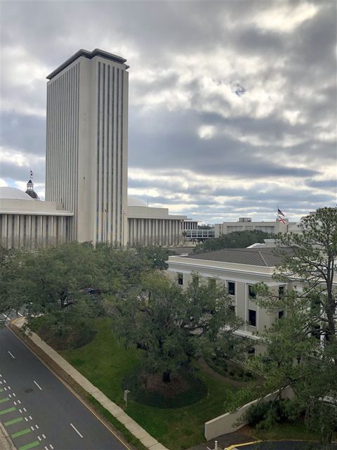 Tiny photo for 300 S Duval Street #812, Tallahassee, FL 32301 (MLS # 389344)