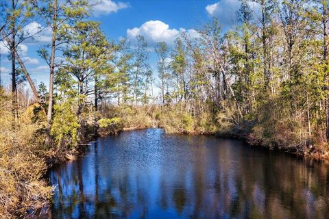 8412 SW Tower Road Madison FL 32340