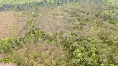 Tiny photo for Lot 84 SW Oregon Trail, Greenville, FL 32331 (MLS # 399158)
