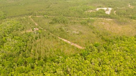 Tiny photo for Lot 84 SW Oregon Trail, Greenville, FL 32331 (MLS # 399158)