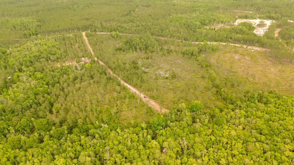 Photo of Lot 84 SW Oregon Trail, Greenville, FL 32331 (MLS # 399158)