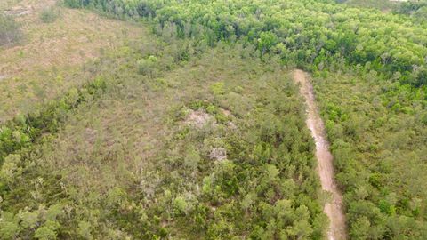 Tiny photo for Lot 84 SW Oregon Trail, Greenville, FL 32331 (MLS # 399158)