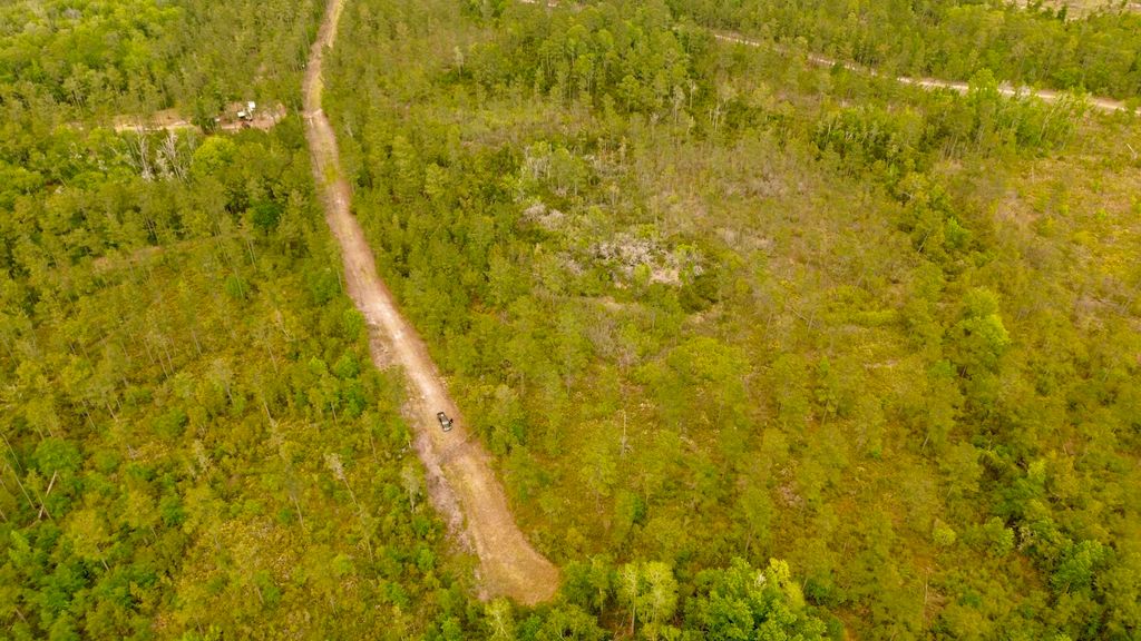 Photo of Lot 84 SW Oregon Trail, Greenville, FL 32331 (MLS # 399158)