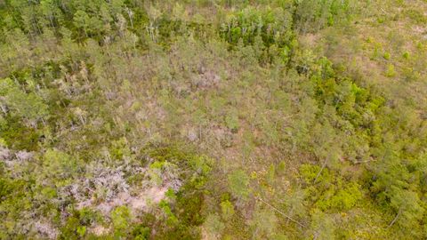 Tiny photo for Lot 84 SW Oregon Trail, Greenville, FL 32331 (MLS # 399158)