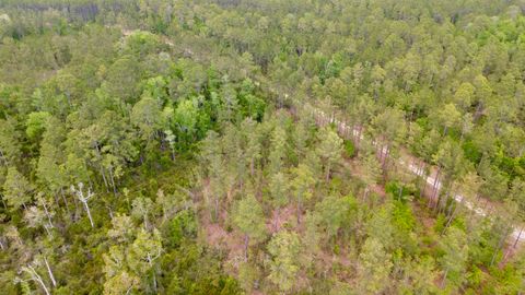 Tiny photo for Lot 84 SW Oregon Trail, Greenville, FL 32331 (MLS # 399158)