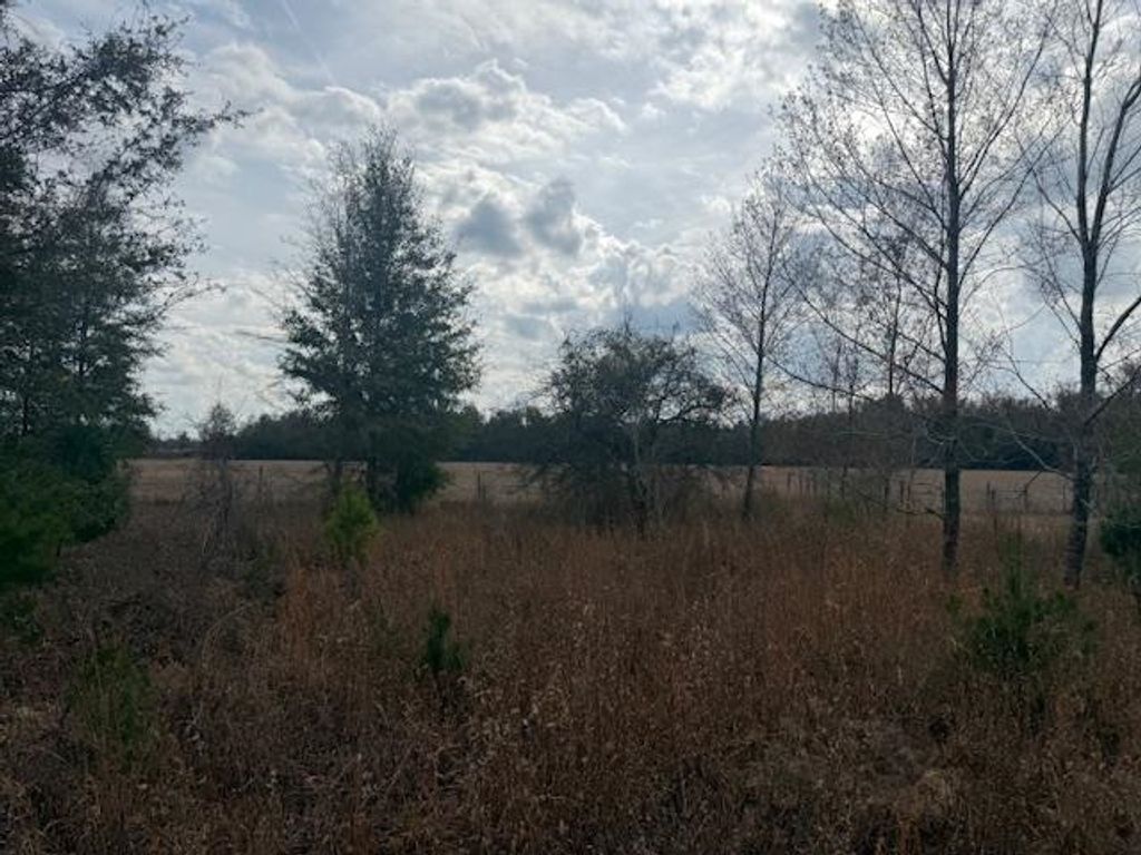 Photo of SW CR 751 Road, Jasper, FL 32052 (MLS # 396536)