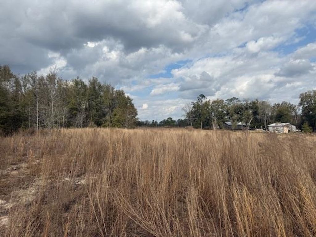 Photo of SW CR 751 Road, Jasper, FL 32052 (MLS # 396536)