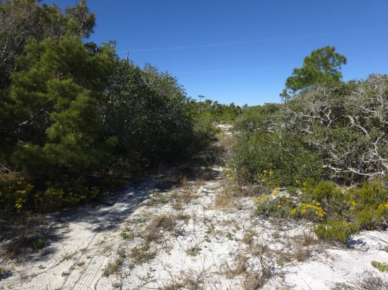 682 Gulf Shore Drive