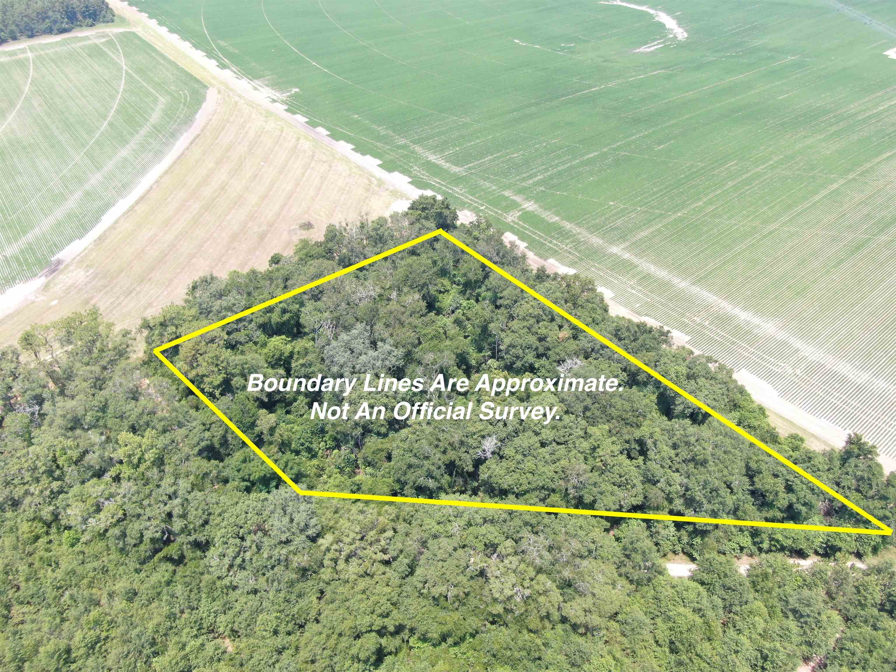 Photo 1 of 40 — Vacant NE Chervil Drive, Lee, FL 32059