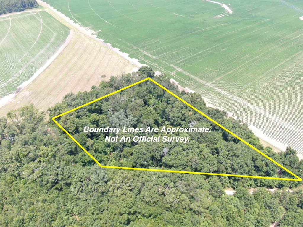 Photo of Vacant NE Chervil Drive, Lee, FL 32059 (MLS # 398699)