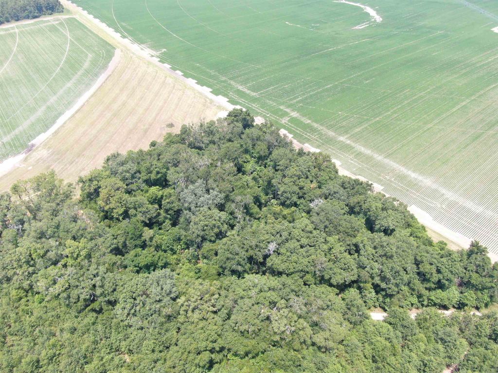 Photo of Vacant NE Chervil Drive, Lee, FL 32059 (MLS # 398699)