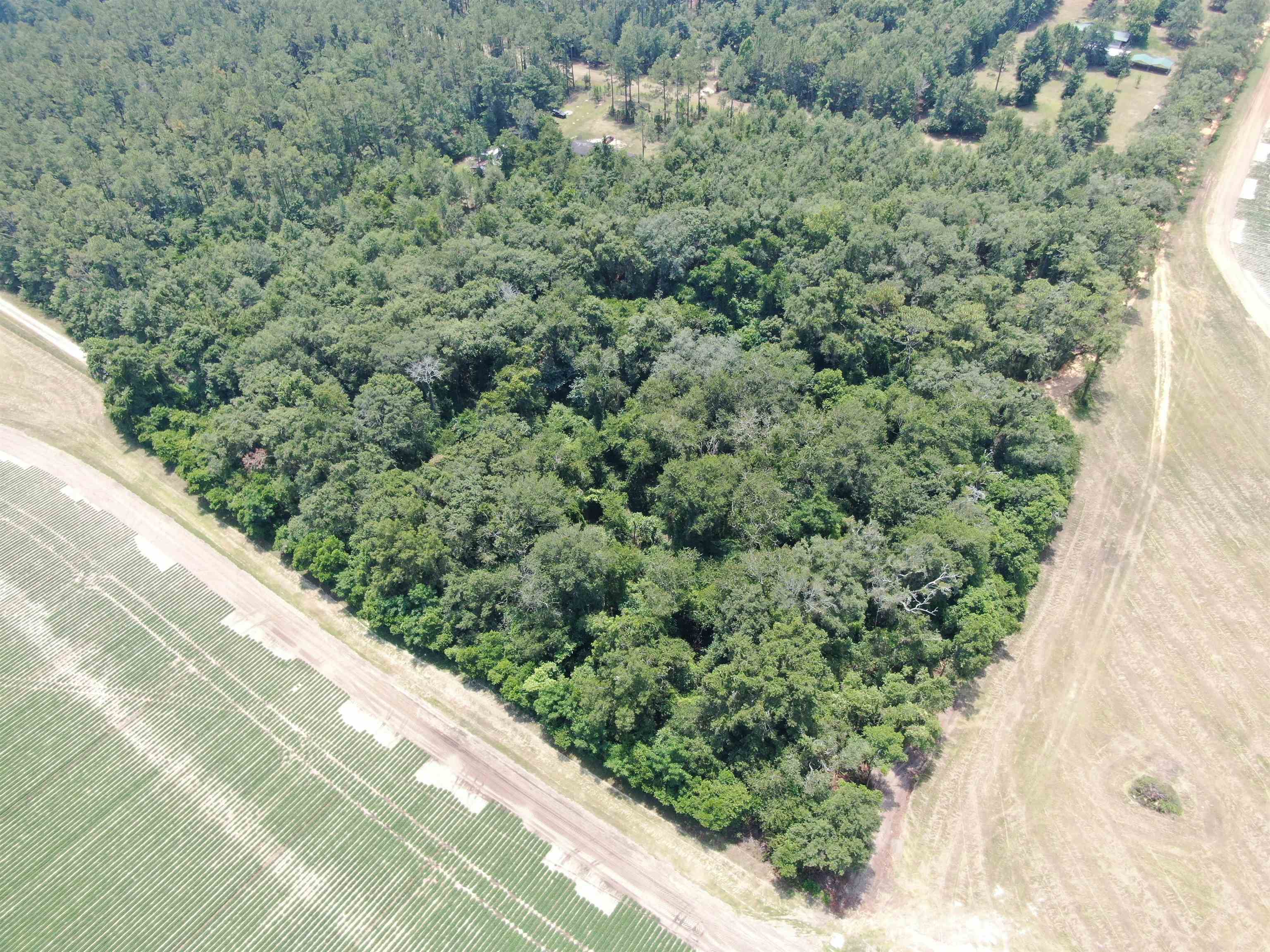 Vacant NE Chervil Drive