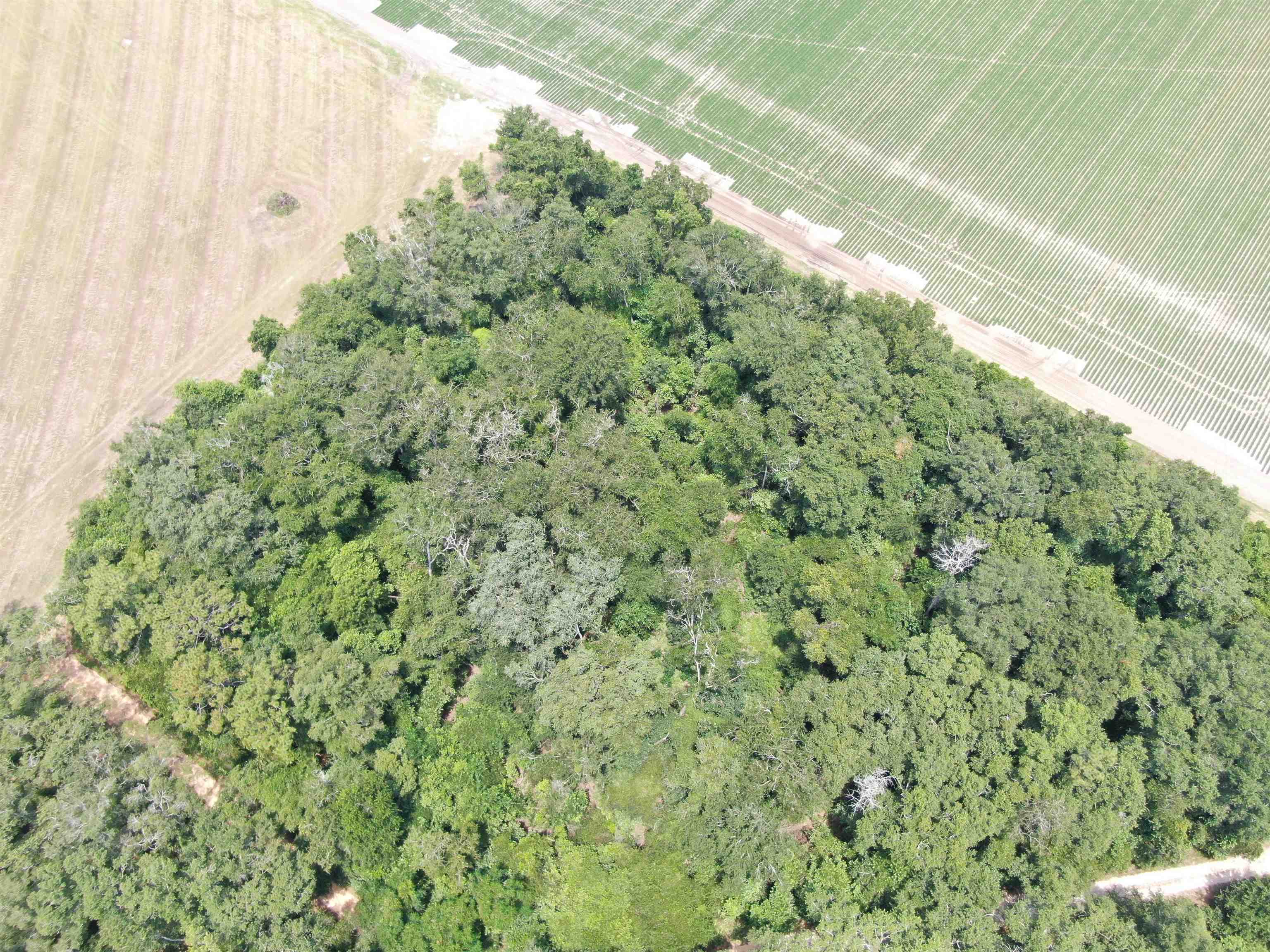 Vacant NE Chervil Drive