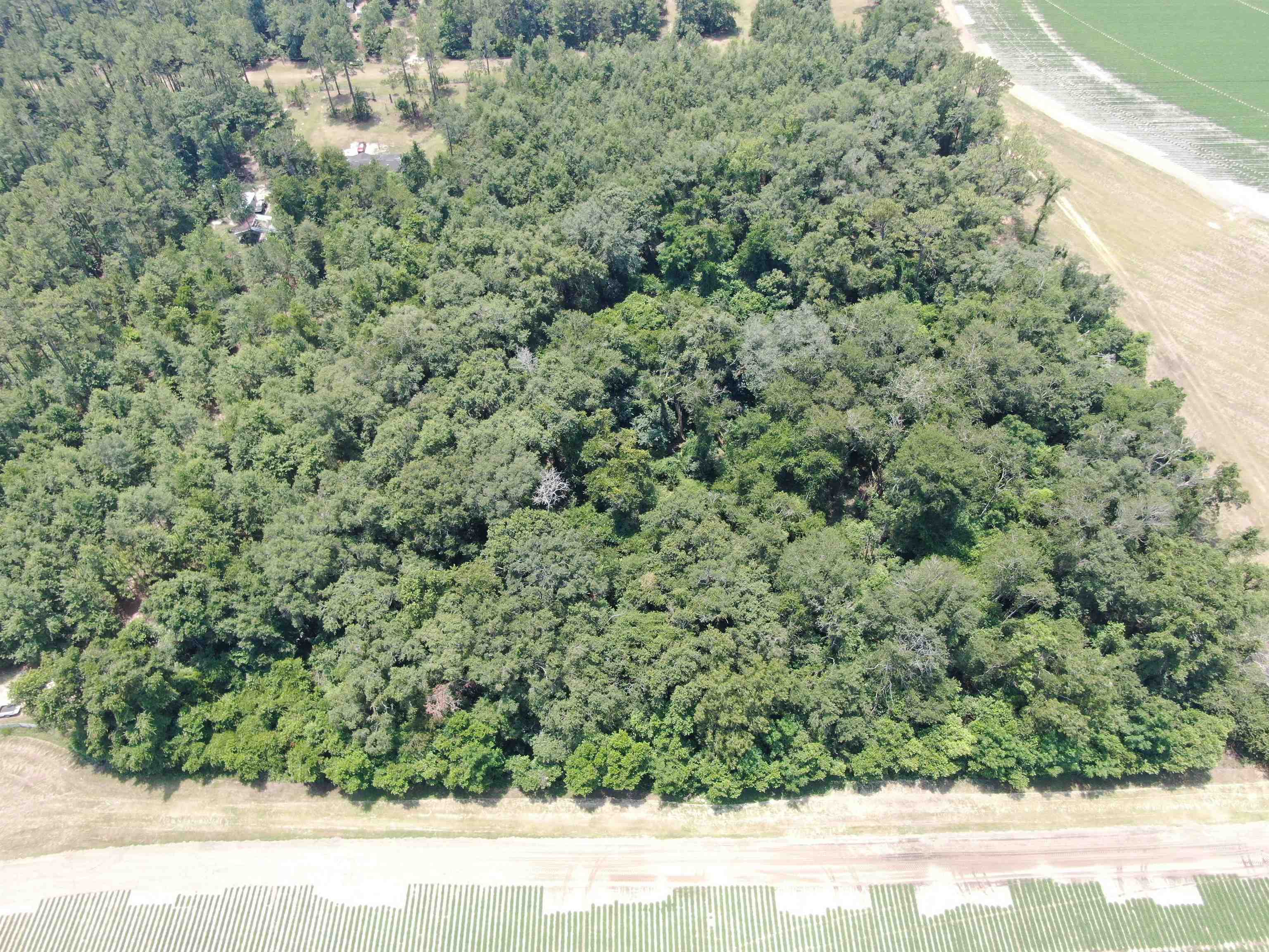 Vacant NE Chervil Drive