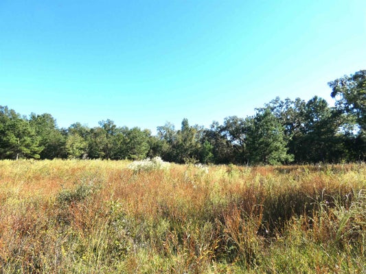 TBD GROOVER ROAD, MONTICELLO, FL 32344 - Image 398468cdb89faafe5385d783cdfda69f/1761608457