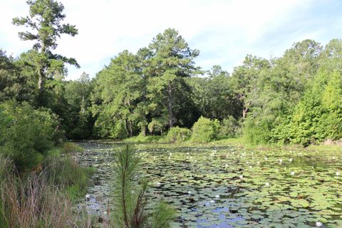 Tiny photo for 6401 Walkabout Lane, Tallahassee, FL 32309 (MLS # 400468)