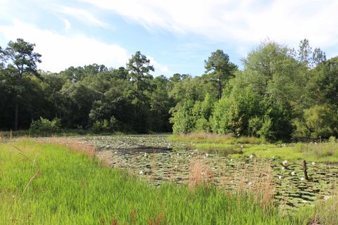 Tiny photo for 6401 Walkabout Lane, Tallahassee, FL 32309 (MLS # 400468)