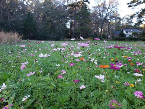 Tiny photo for 6401 Walkabout Lane, Tallahassee, FL 32309 (MLS # 400468)