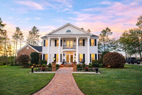 Photo of 15089 NE GRANNY ANNIE Road, Hosford, FL 32334 (MLS # 397023)