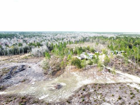 Tiny photo for 15089 NE GRANNY ANNIE Road, Hosford, FL 32334 (MLS # 397023)