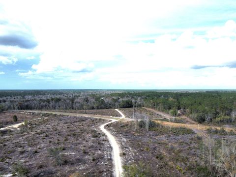 Tiny photo for 15089 NE GRANNY ANNIE Road, Hosford, FL 32334 (MLS # 397023)