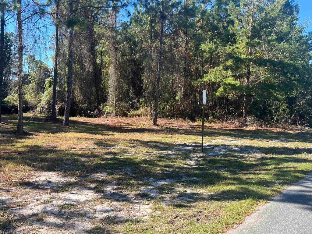 Photo of XX NE Avenue H, Carrabelle, FL 32322 (MLS # 392795)