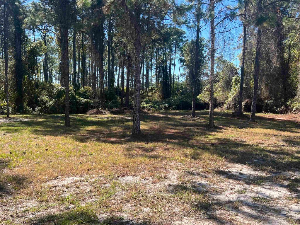 Photo of XX NE Avenue H, Carrabelle, FL 32322 (MLS # 392795)