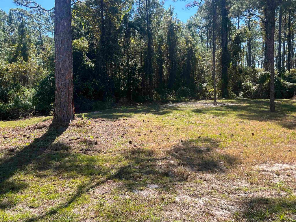 Photo of XX NE Avenue H, Carrabelle, FL 32322 (MLS # 392795)