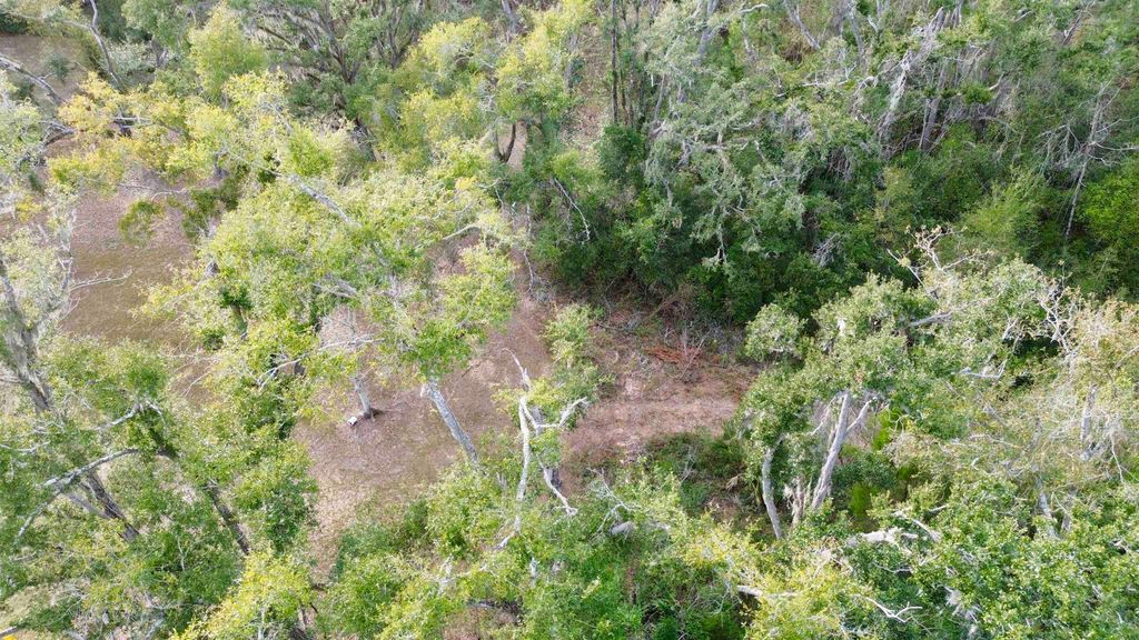 Photo of Vacant A Young Road, Perry, FL 32347 (MLS # 394838)