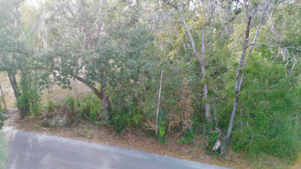 Photo of Vacant A Young Road, Perry, FL 32347 (MLS # 394838)