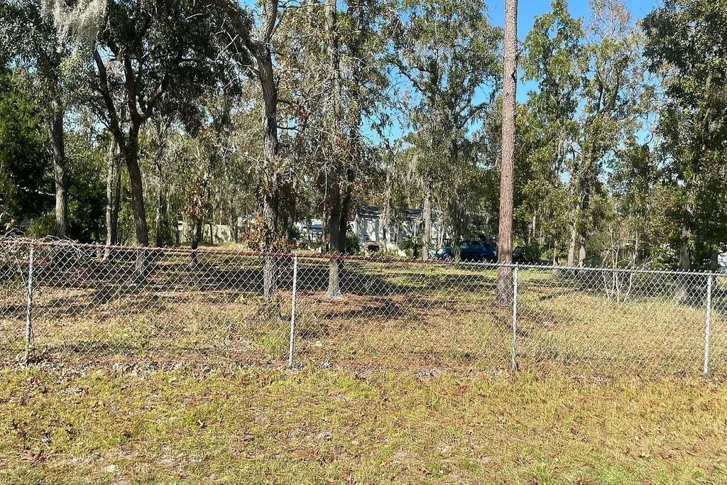 Photo of 95051 Dwight Drive, Other Florida, FL 32034 (MLS # 400190)